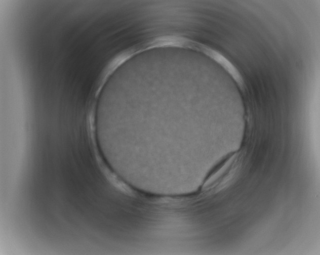 X0000113120954200910091134