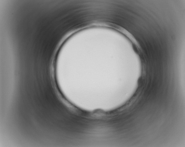 X0000113120955200910091134