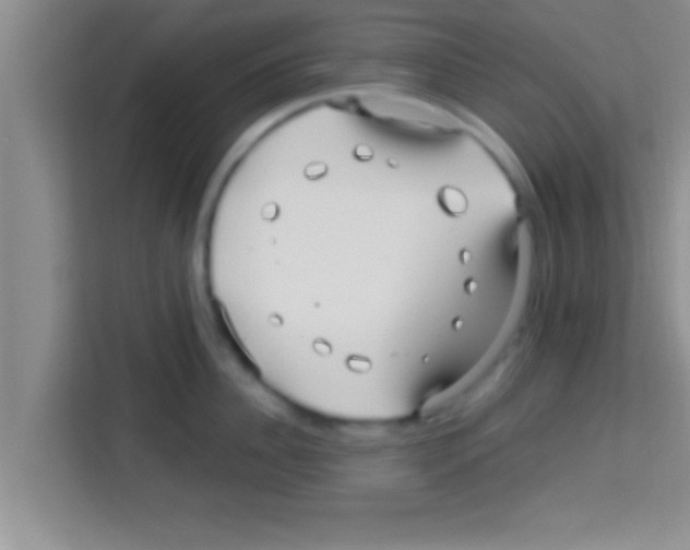 X0000113120956200910091134