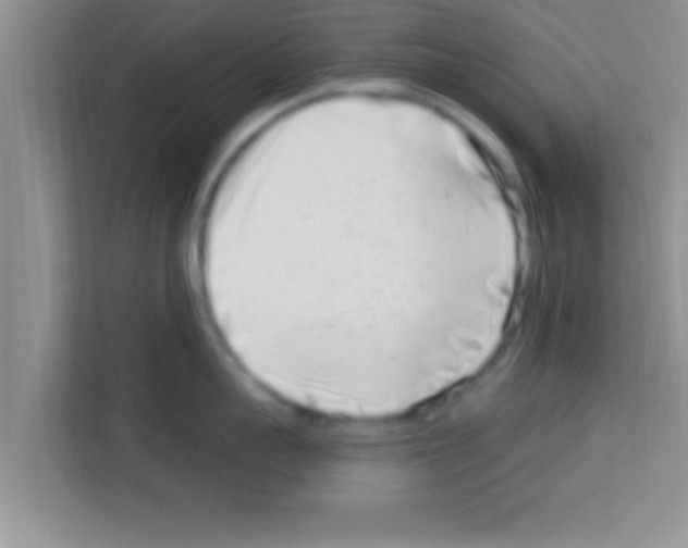 X0000113120959200910091134
