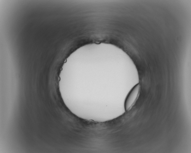 X0000113120961200910091134