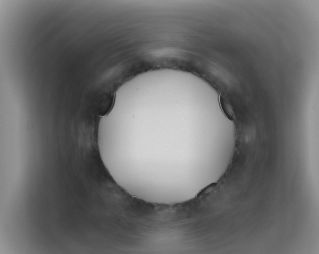 X0000113120965200910091134