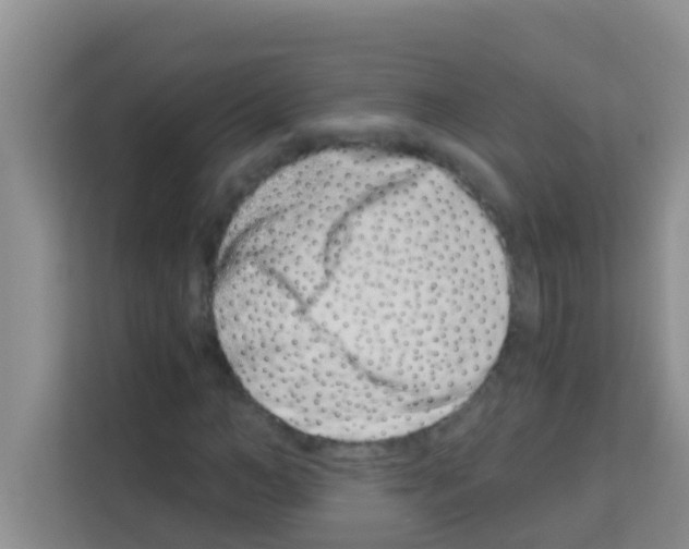 X0000113120966200910091134