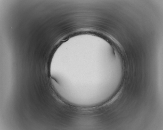 X0000113120969200910091134