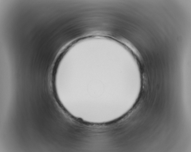 X0000113120972200910091133
