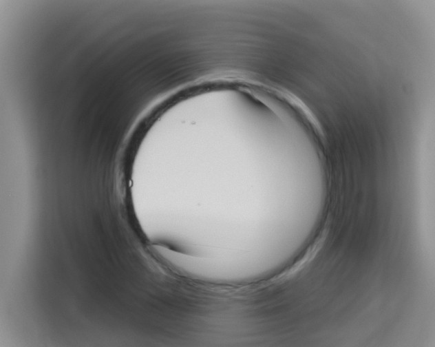 X0000113120973200910091133