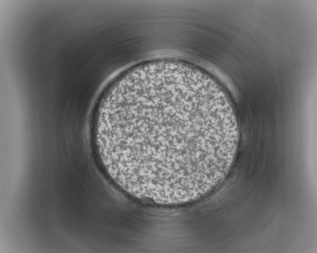 X0000113120975200910091133