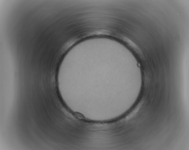 X0000113120977200910091133