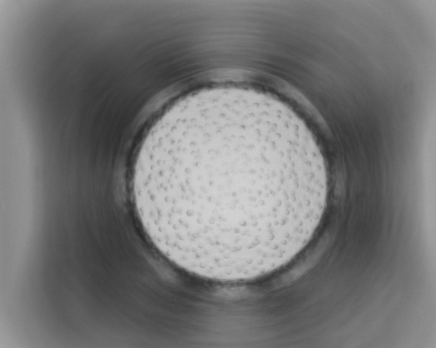 X0000113120978200910091133