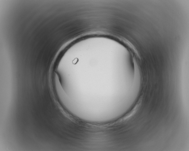 X0000113120981200910091133
