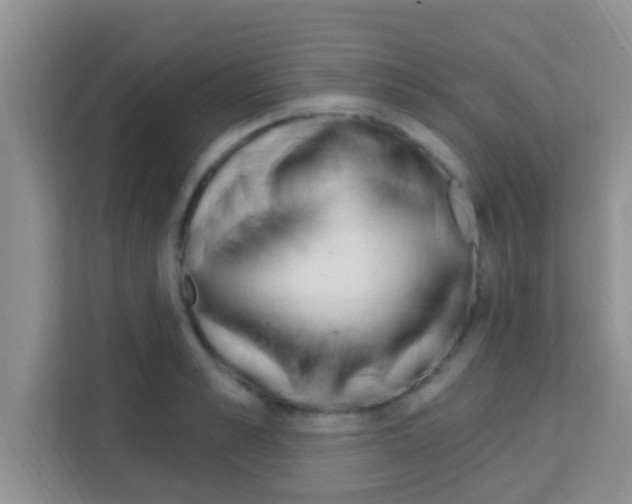 X0000113120989200910091133