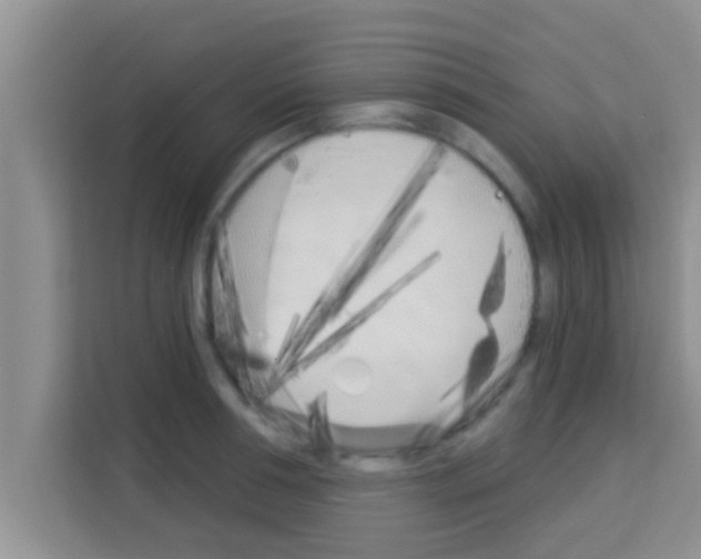 X0000113120994200910091133