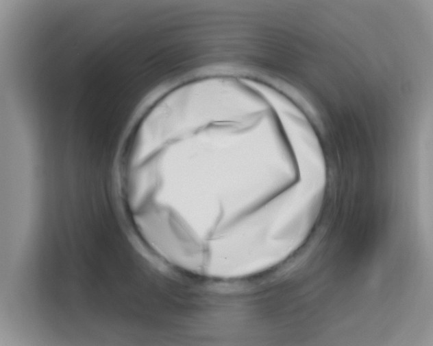 X0000113120998200910091133