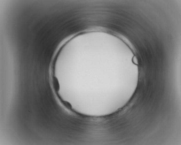 X0000113121003200910091133