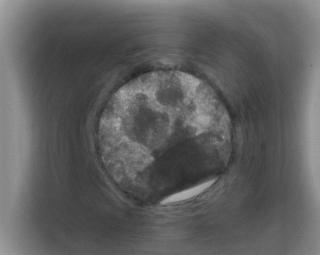X0000113121009200910091132