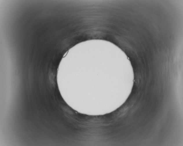 X0000113121010200910091132