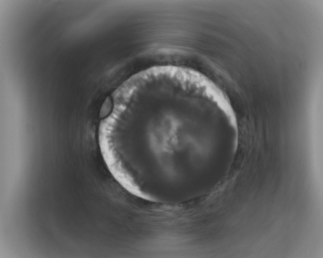 X0000113121013200910091132