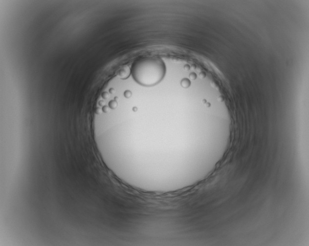 X0000113121016200910091132