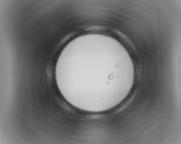 X0000113121017200910091132