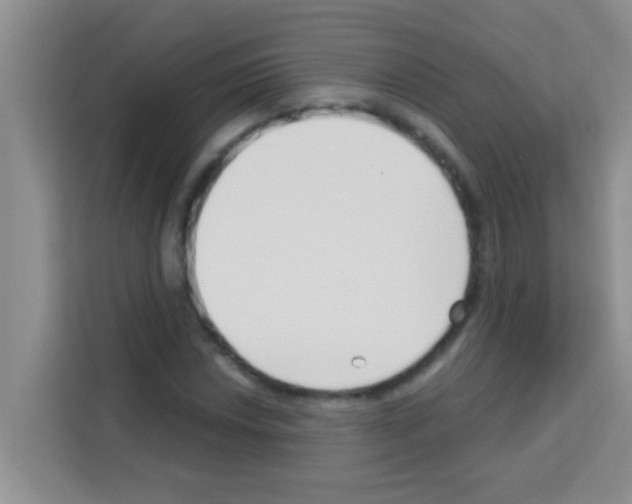 X0000113121018200910091132