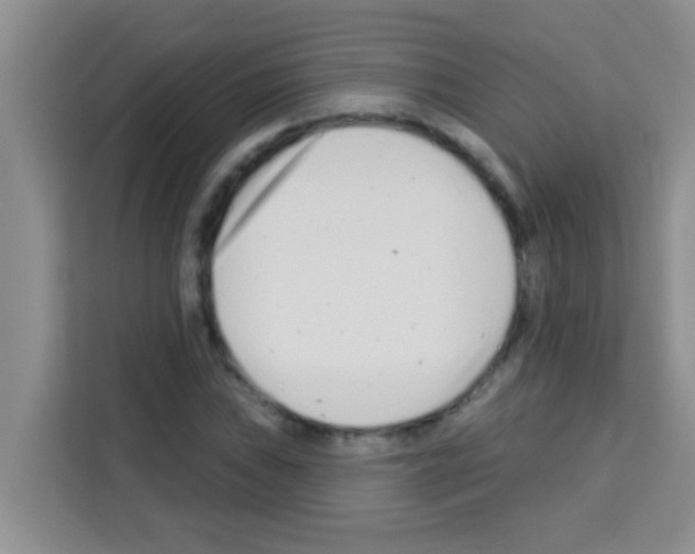 X0000113121019200910091132