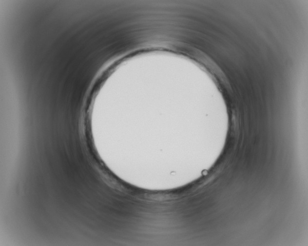 X0000113121020200910091133