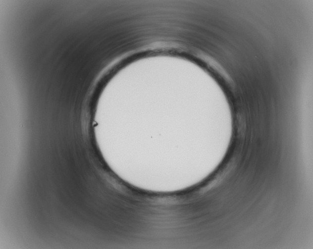X0000113121021200910091133