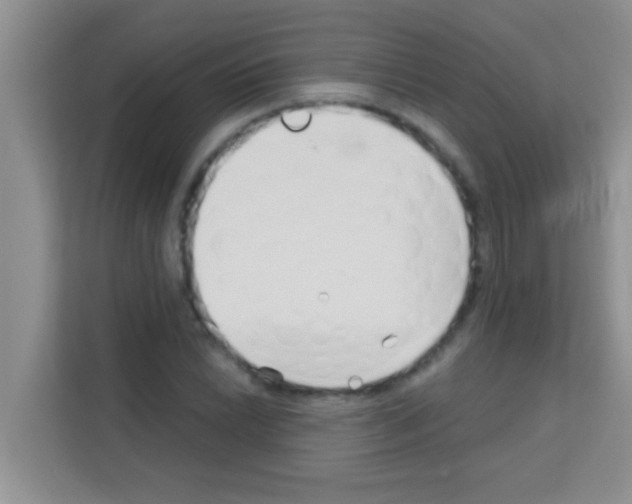 X0000113121022200910091133