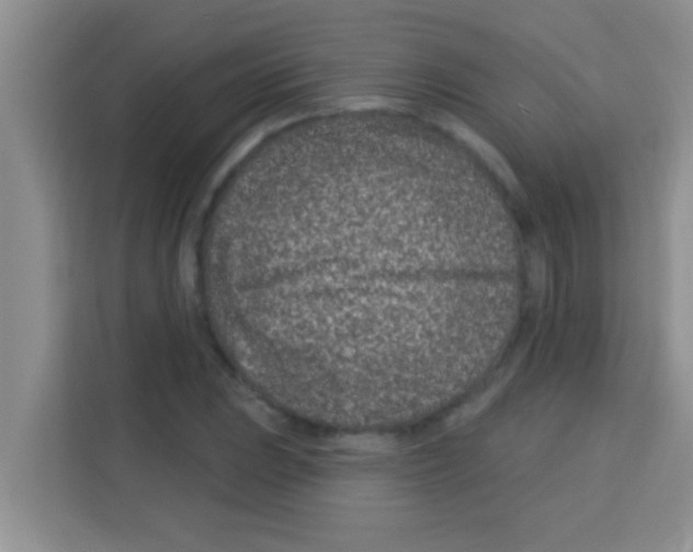 X0000113121023200910091133