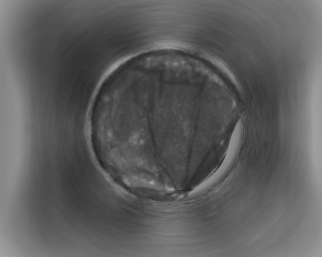 X0000113121024200910091133
