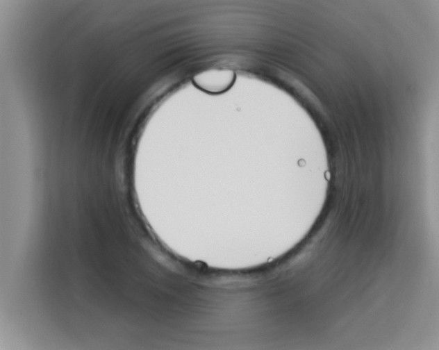 X0000113121026200910091133