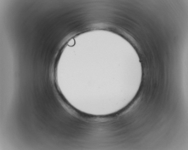 X0000113121034200910091133