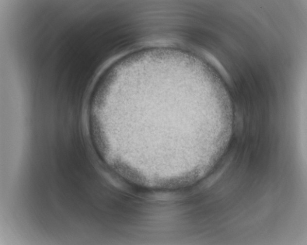 X0000113121035200910091133