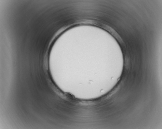 X0000113121036200910091133