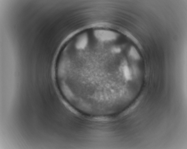 X0000113121037200910091133