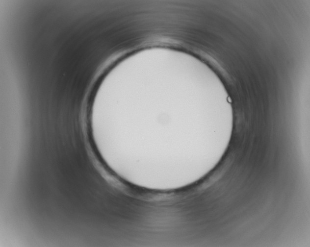 X0000113121038200910091133