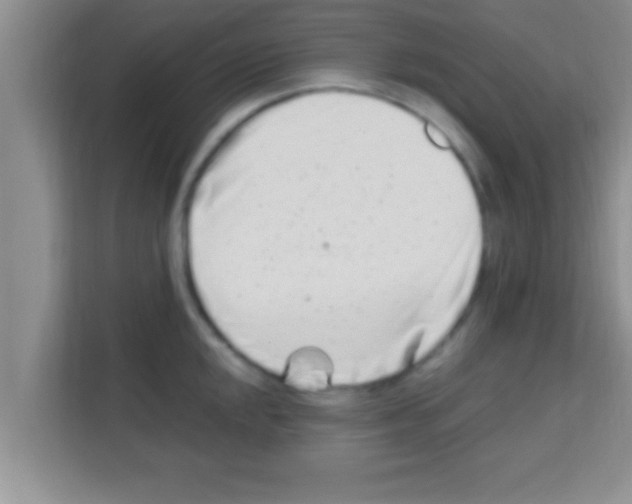 X0000113121048200910091133