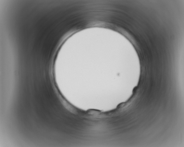 X0000113121050200910091133