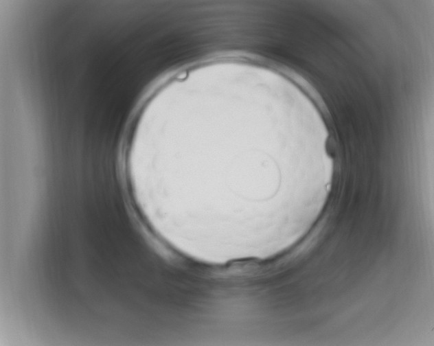 X0000113121054200910091133