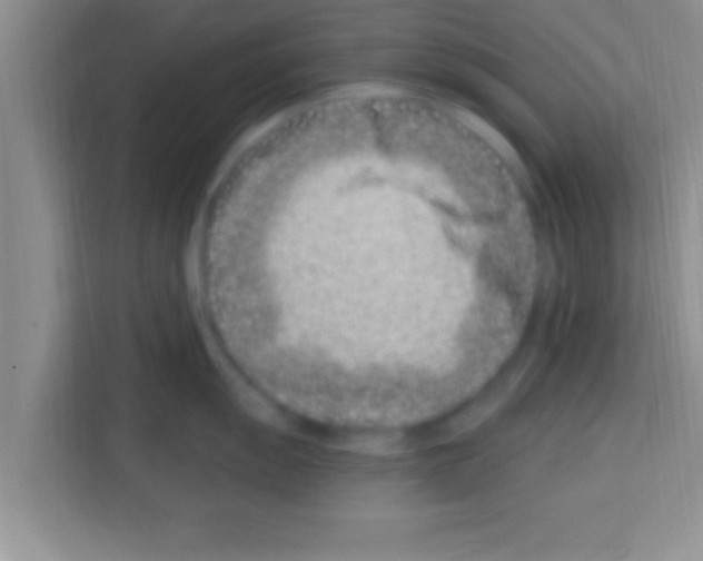 X0000113121055200910091133