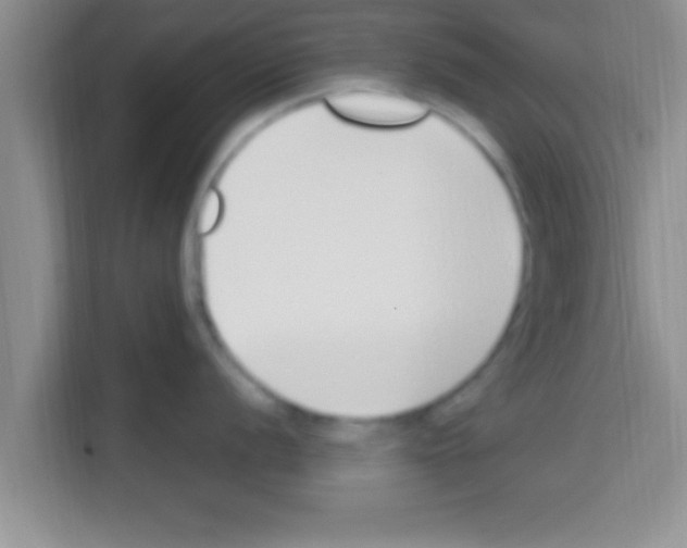X0000113121056200910091133