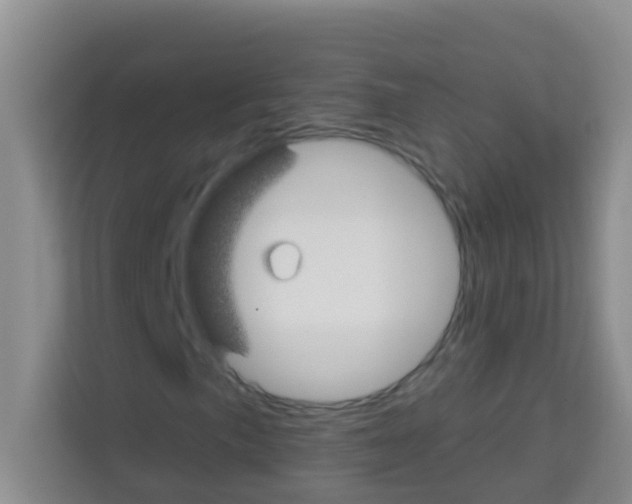 X0000113121057200910091132