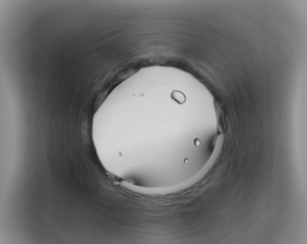 X0000113121060200910091132