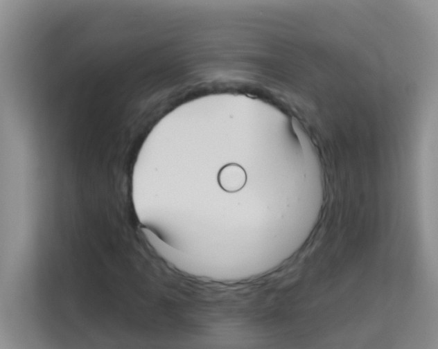 X0000113121061200910091132