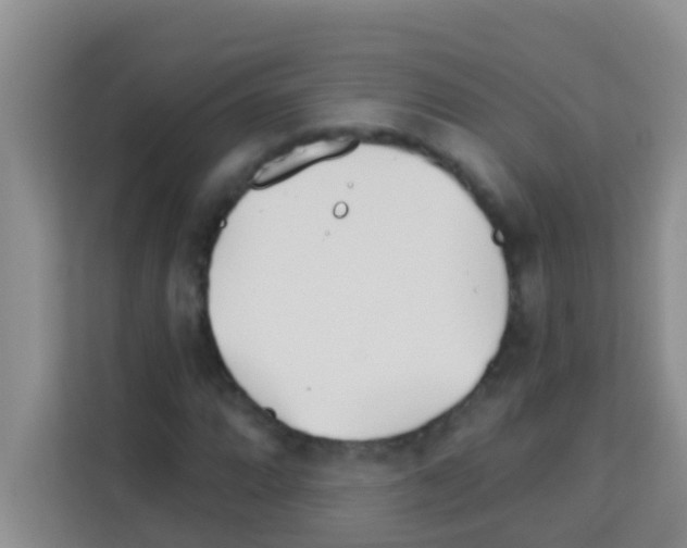 X0000113121064200910091132