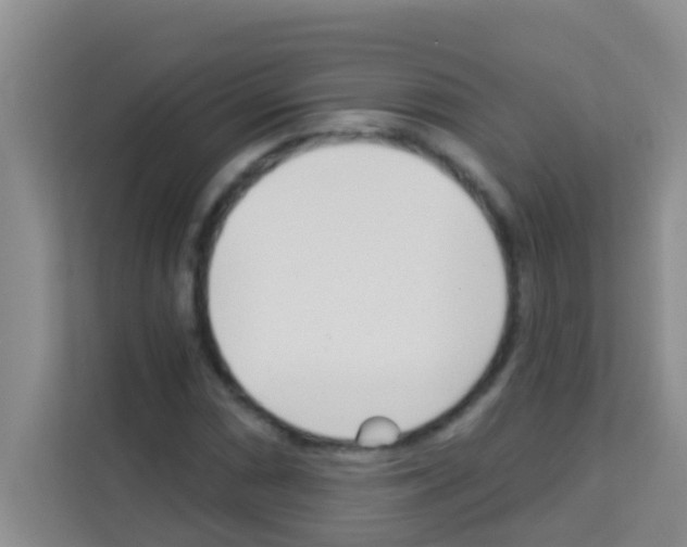 X0000113121066200910091132