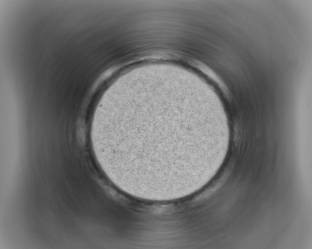 X0000113121067200910091132