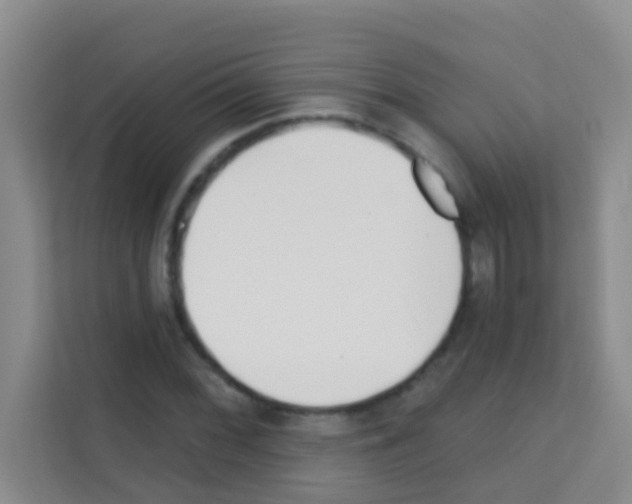 X0000113121068200910091132