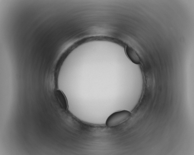 X0000113121069200910091132