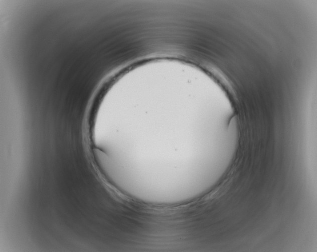 X0000113121072200910091132